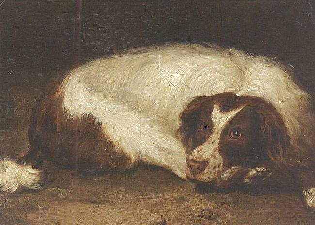 unknow artist A sporting dog lying down China oil painting art